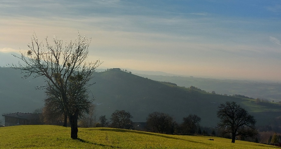 Panoramaaufnahme, Ausblick vom Nussgeistweg, herbstliche Stimmung, Baum ohne Blätter im Vordergrund