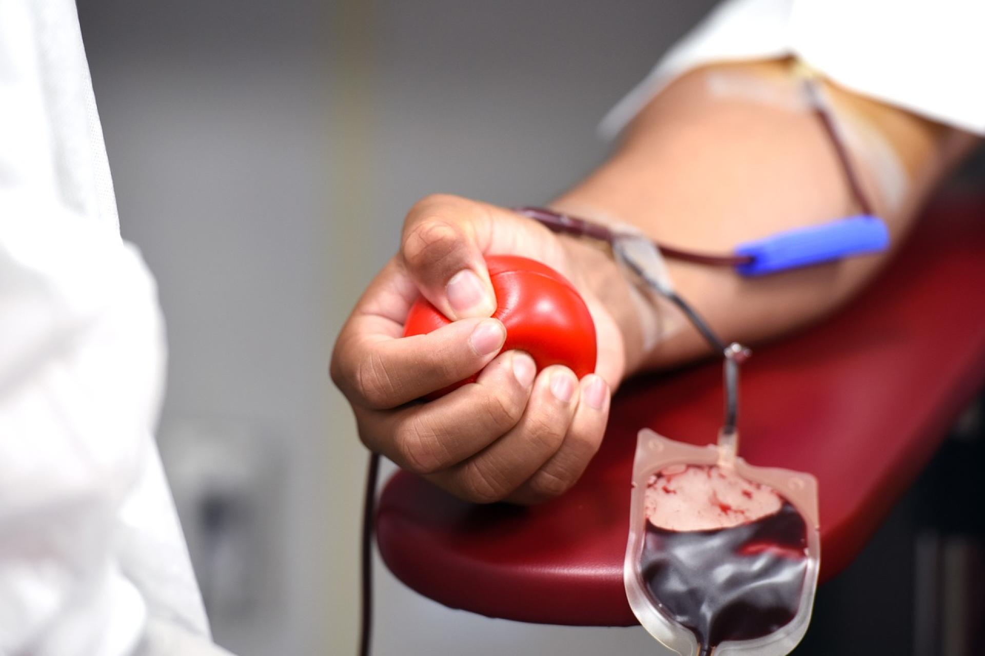Blutspenden, Hand drückt einen roten Ball während Blut in den Beutel läuft