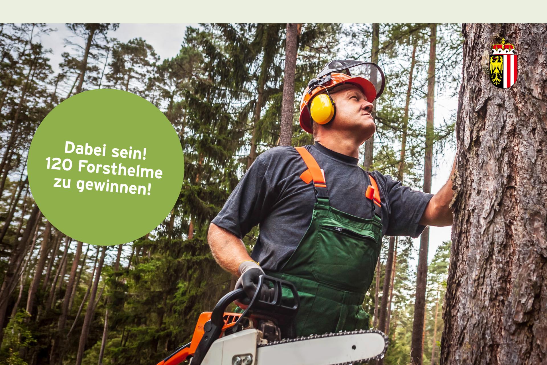 SicherWaldarbeit