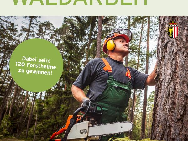 SicherWaldarbeit