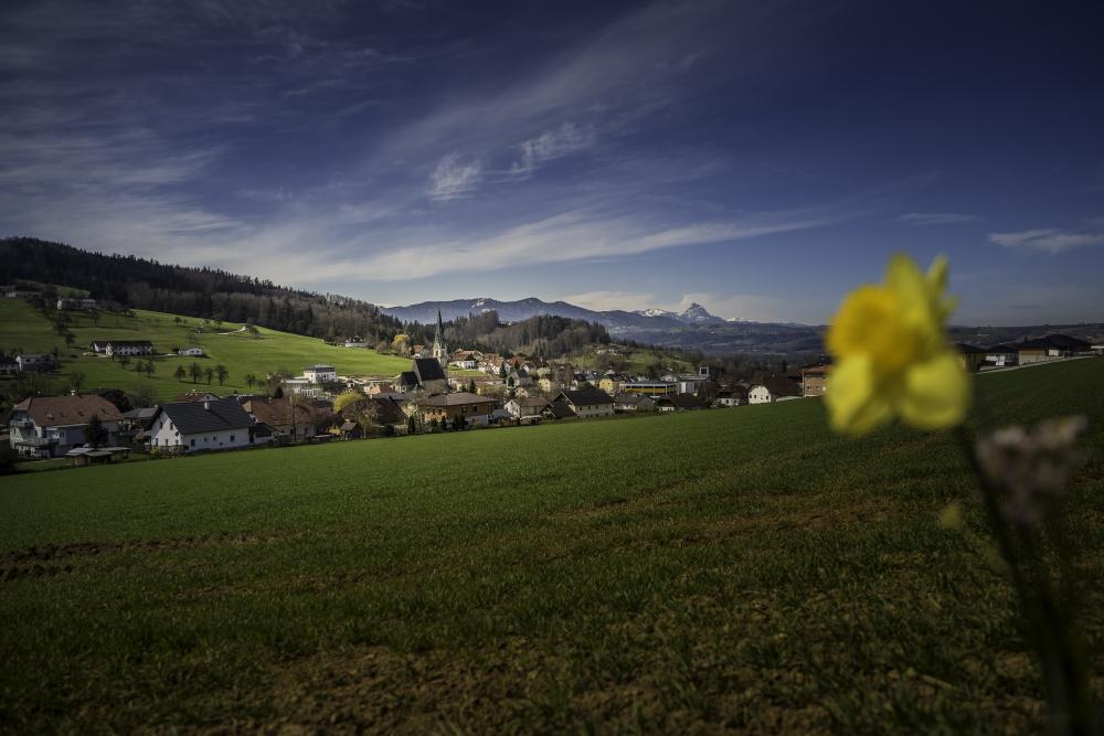Blick vom Sonnenweg auf Nußbach mit den Voralpen im Hintergrund