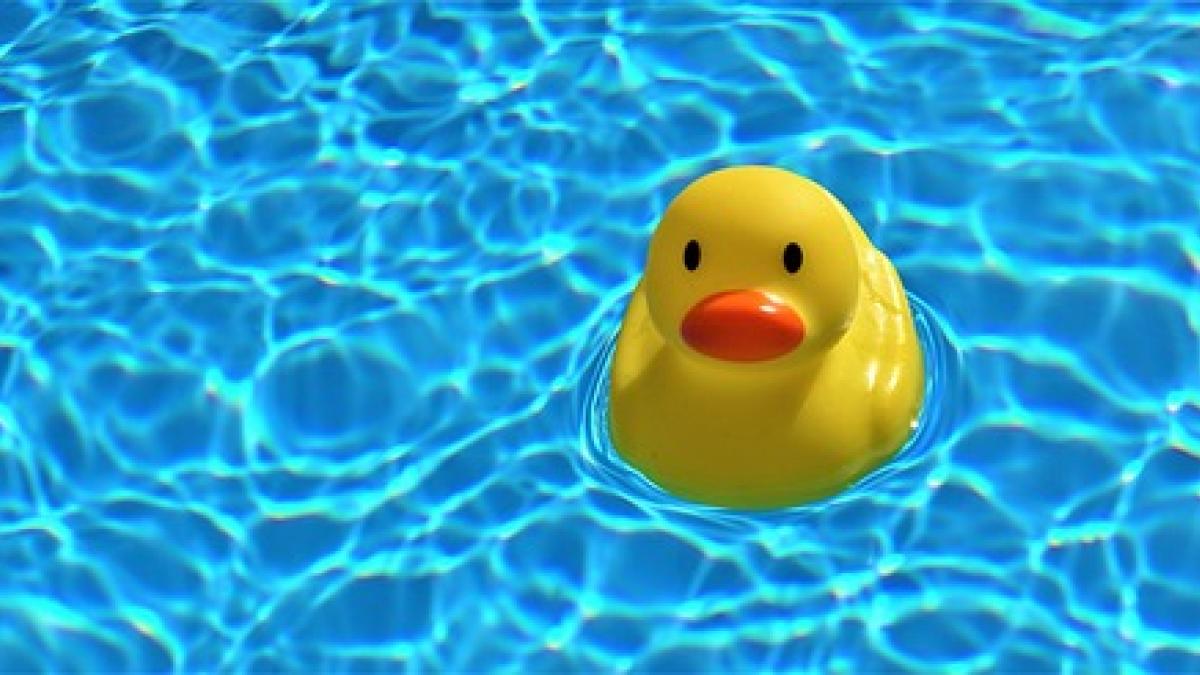 Gelbe Quietschente schwimmt im blauen Wasser
