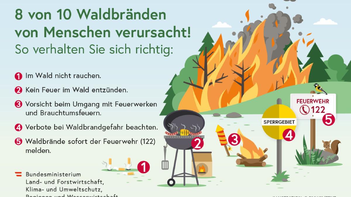 Waldbrand