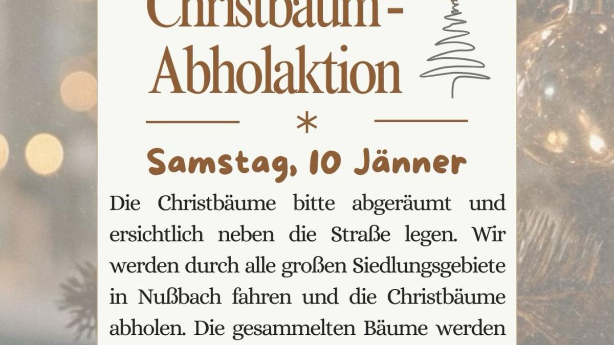Christbaum Abholung