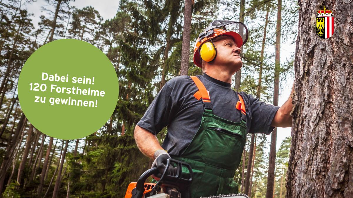 SicherWaldarbeit