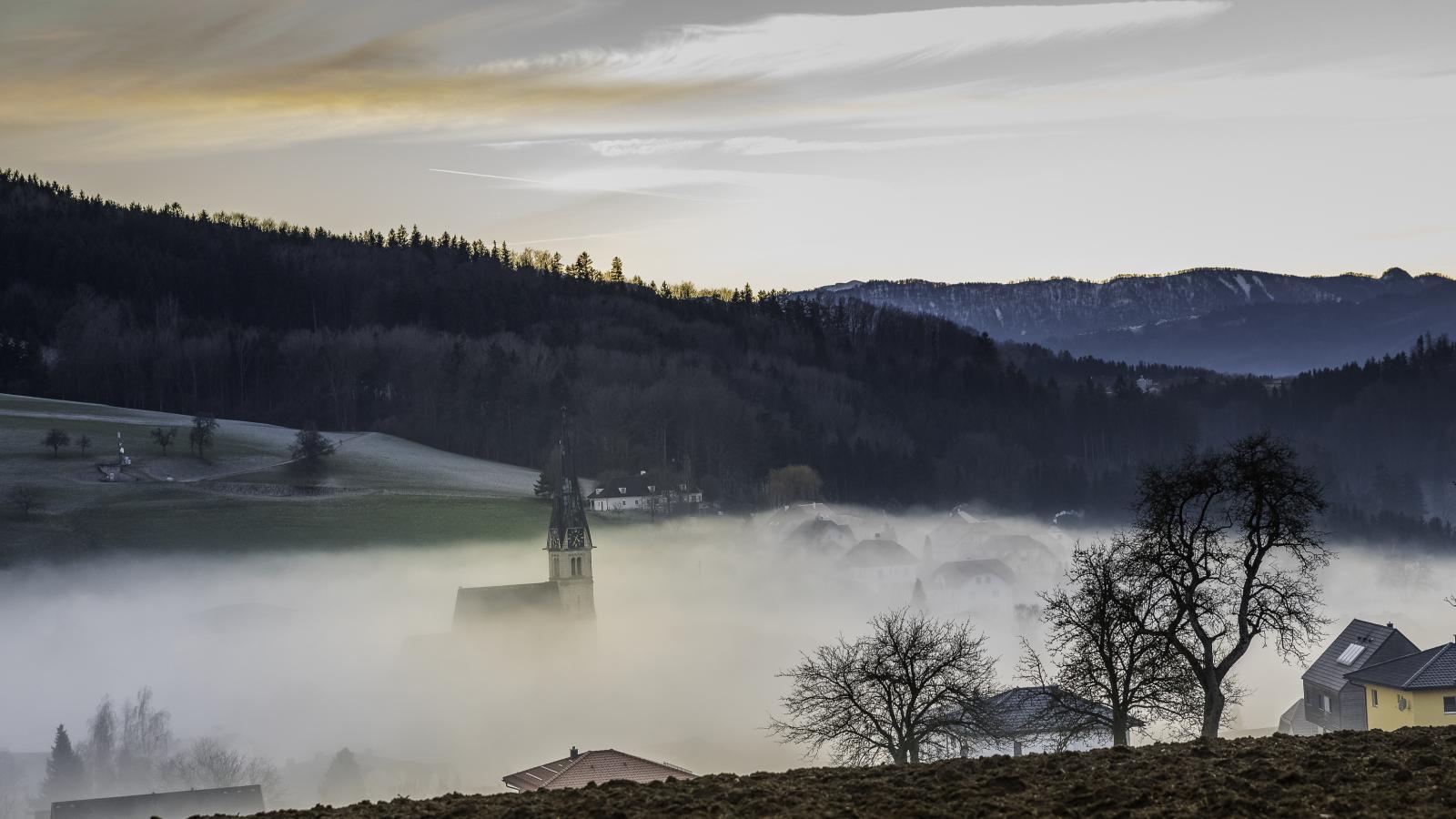 Nußbach im Nebel