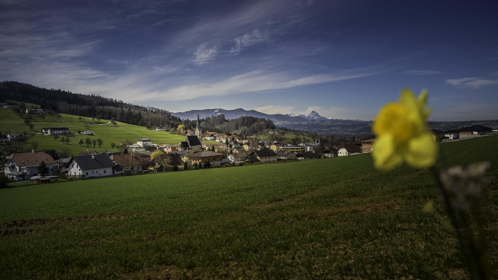 Nußbach aus der Sicht vom Sonnenweg