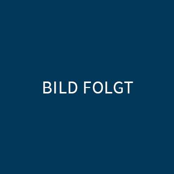 Birgit Scheurer