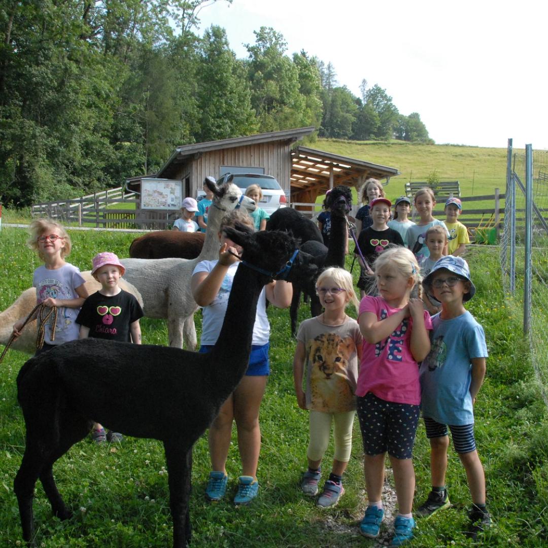 Kinder_mit_Alpaka