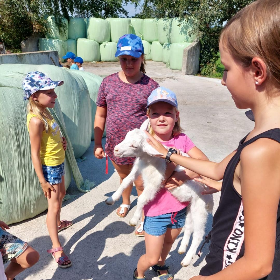 Ferienprogramm 2023_Bauernhof