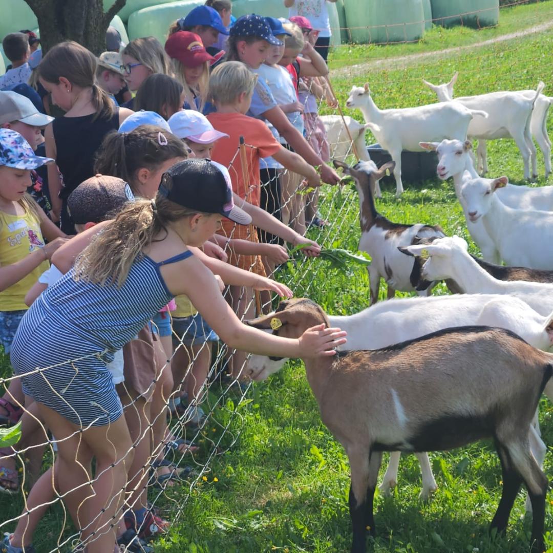 Ferienprogramm 2023_Bauernhof